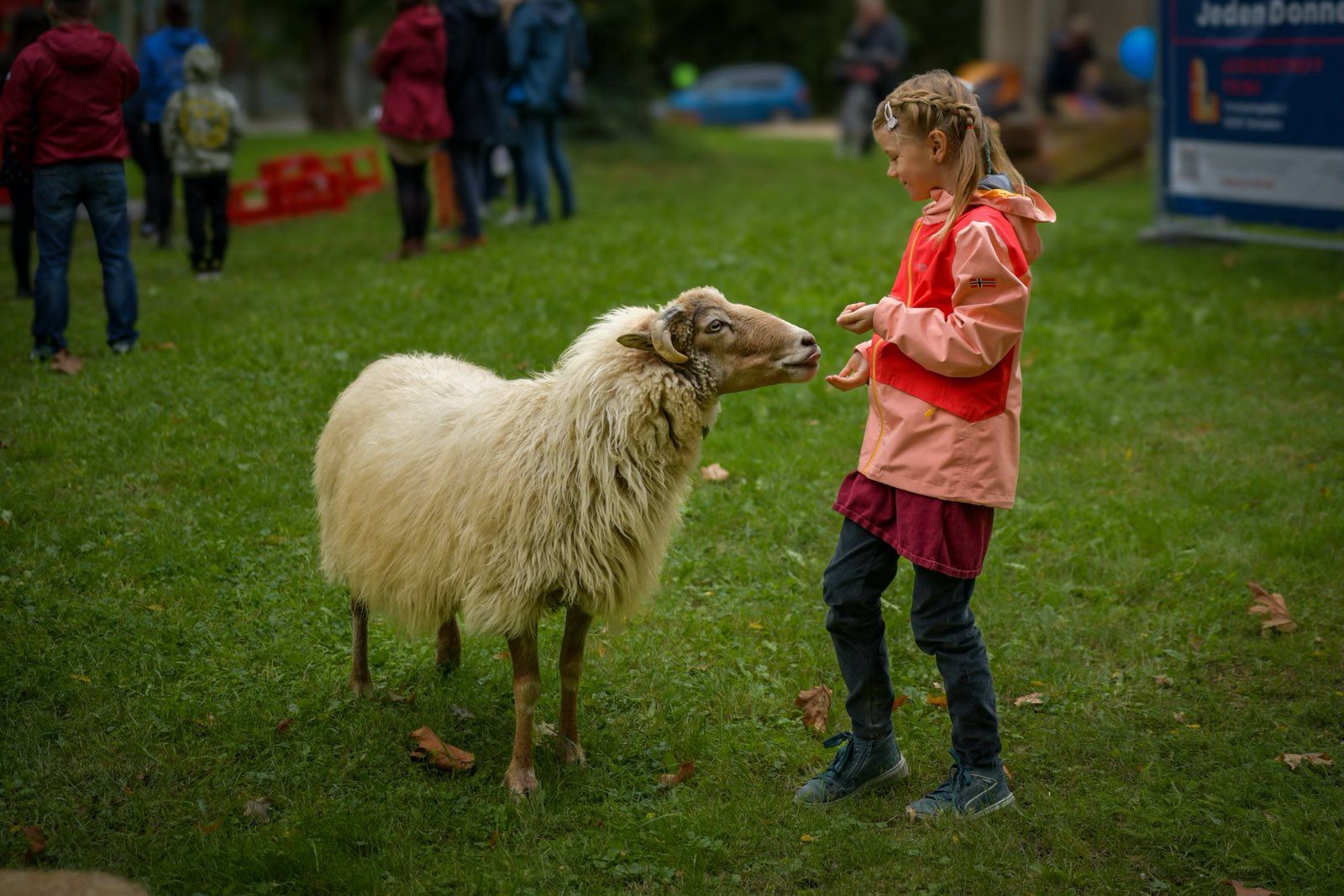 Sommerfest des Intensivzeit e.V. 2024