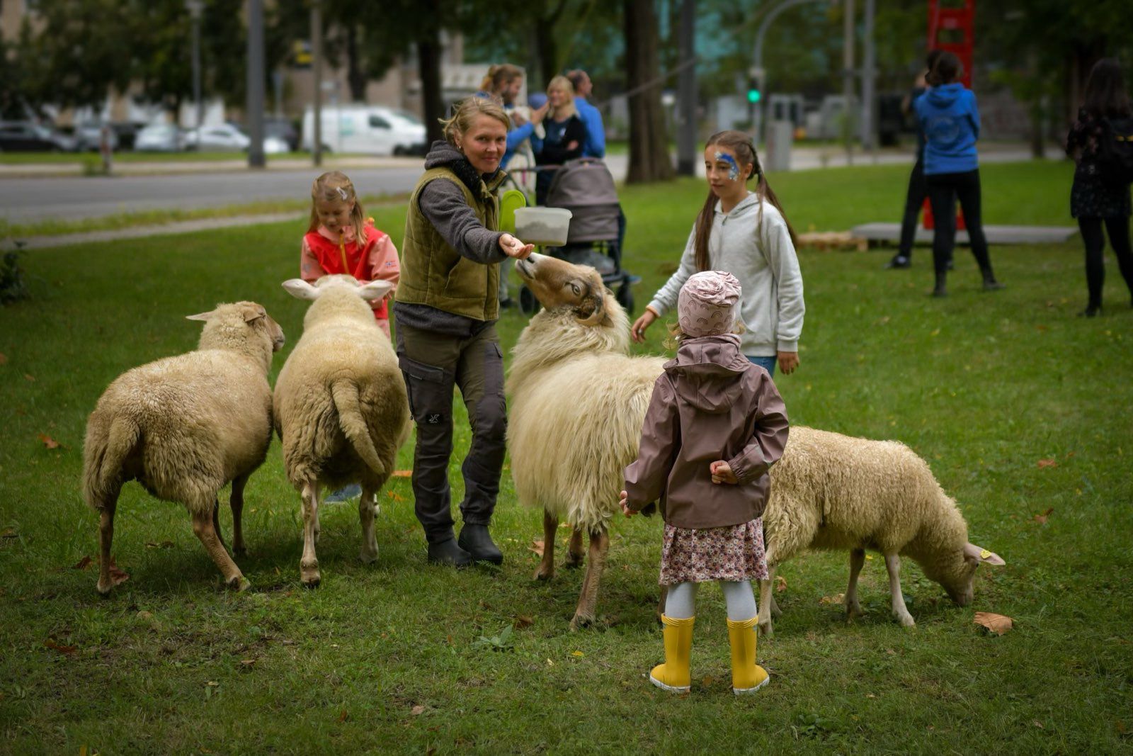 Sommerfest des Intensivzeit e.V. 2024
