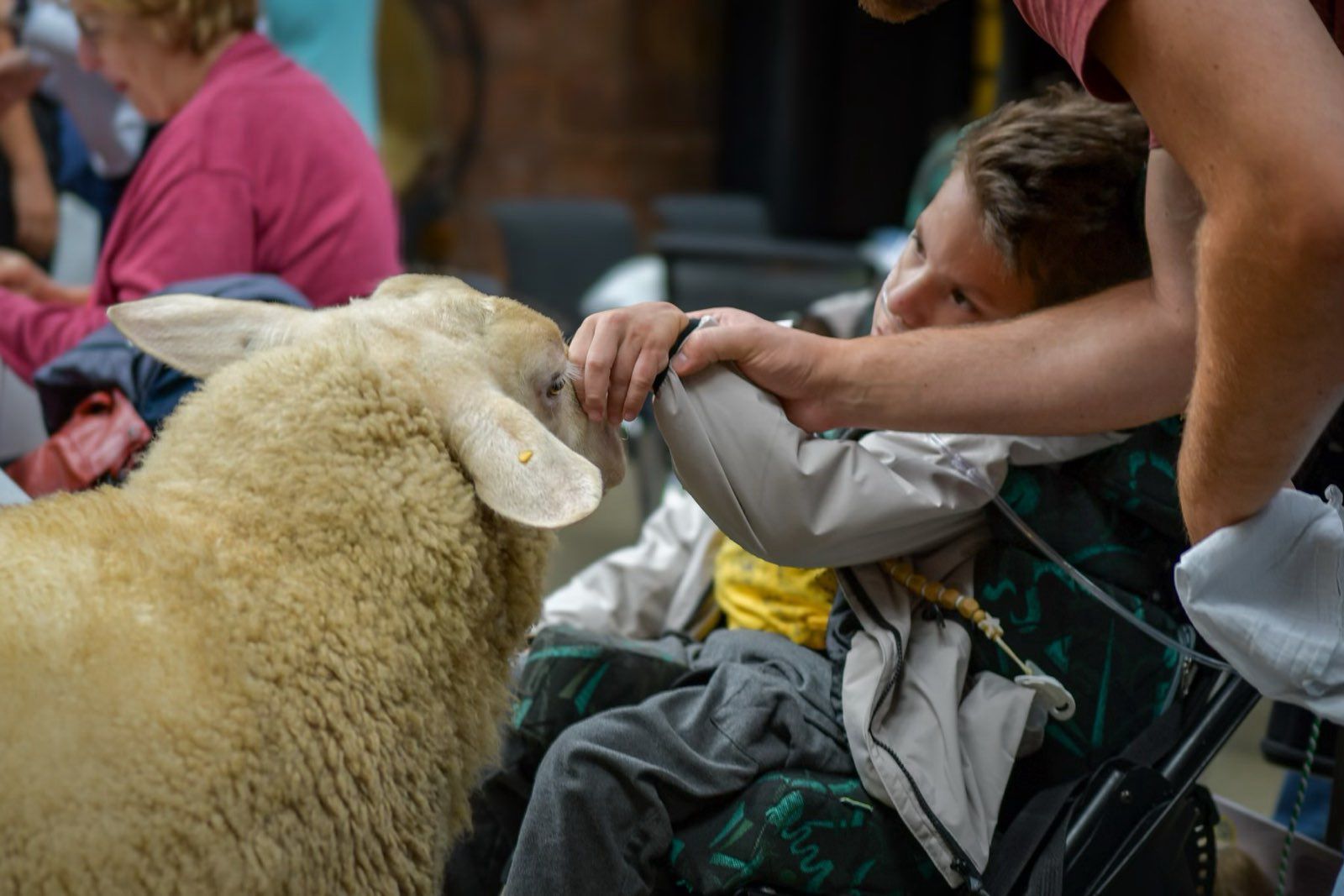 Sommerfest des Intensivzeit e.V. 2024