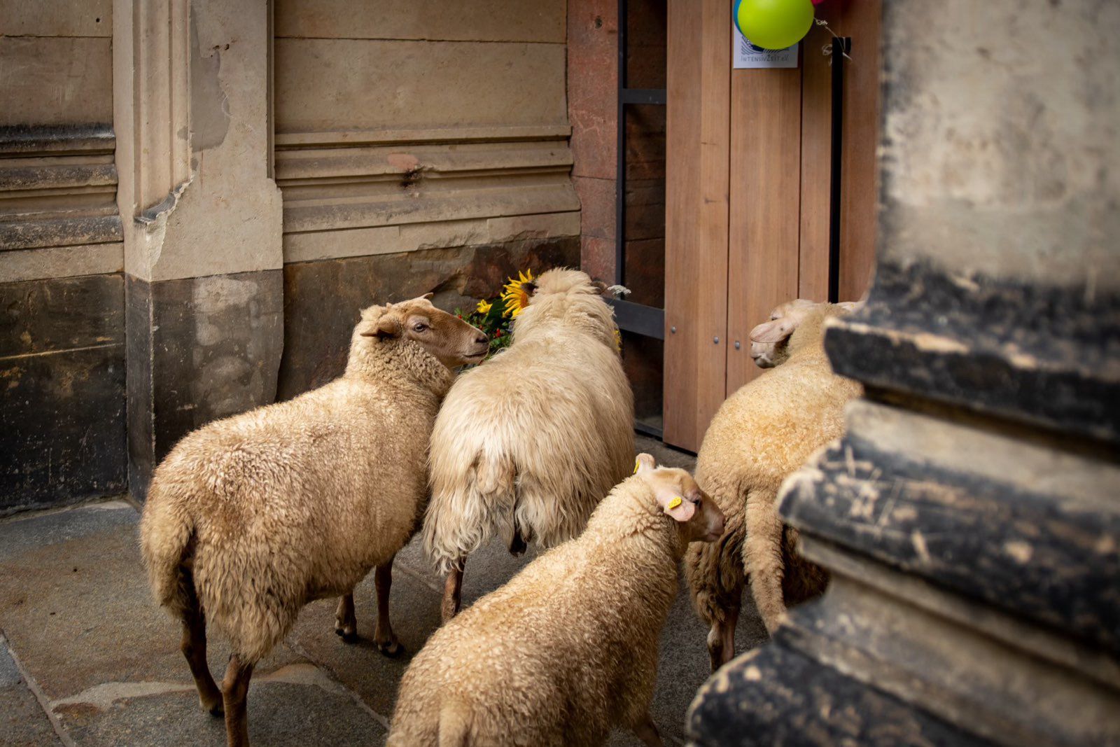 Sommerfest des Intensivzeit e.V. 2024