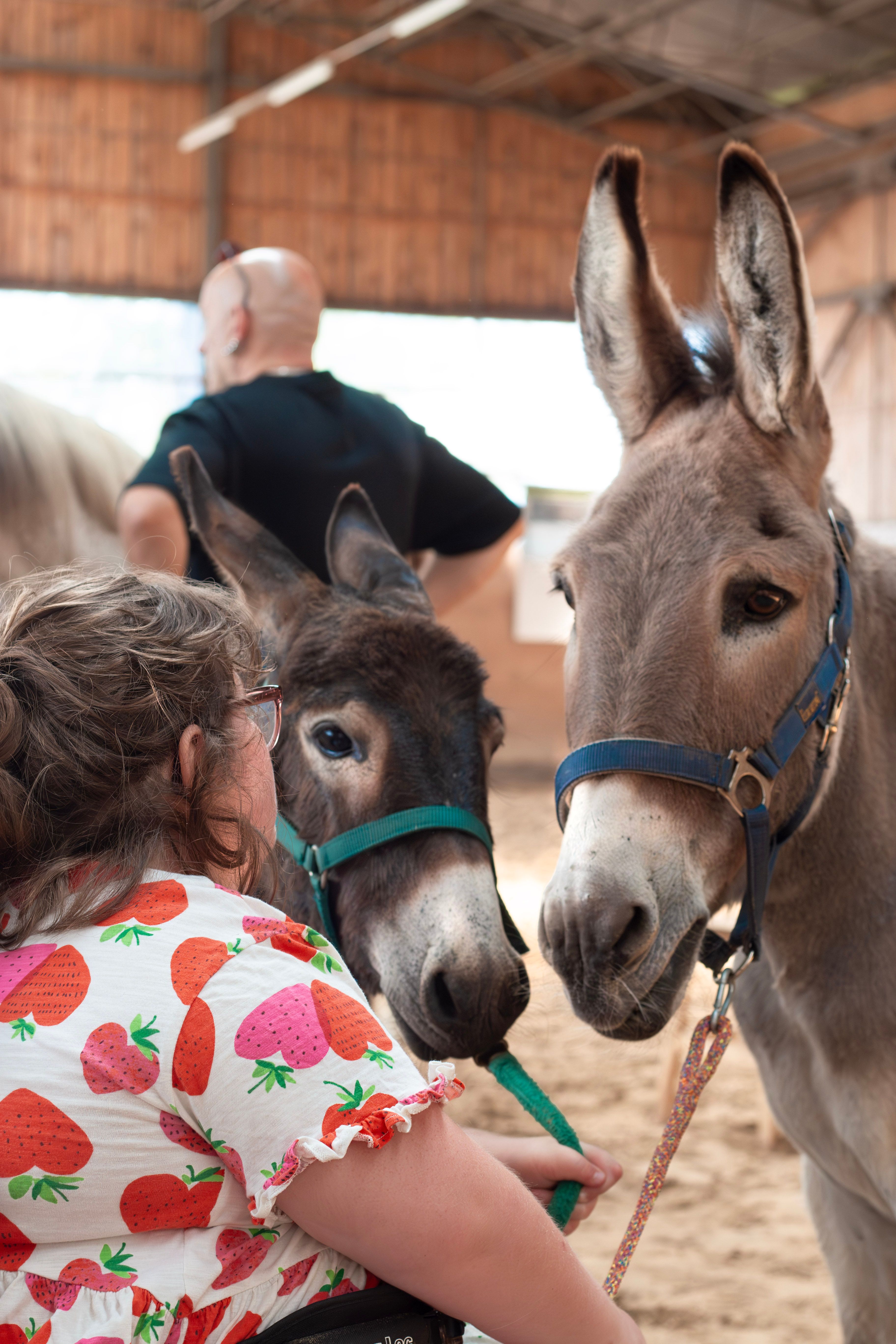 StreichelZeit - für Begegnungen zwischen Mensch und Tier